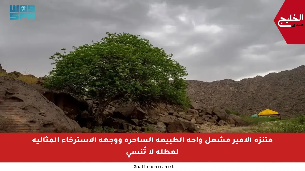 متنزه الأمير مشعل واحة الطبيعة الساحرة ووجهة الاسترخاء المثالية لعطلة لا تُنسى